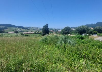 vista de la parcela