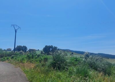 vista desde la carretera